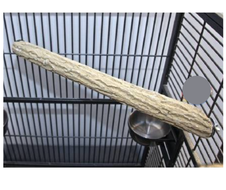 Rohová tyčinka na péči o drápky L 55x5 cm od ParrotPlanet.cz