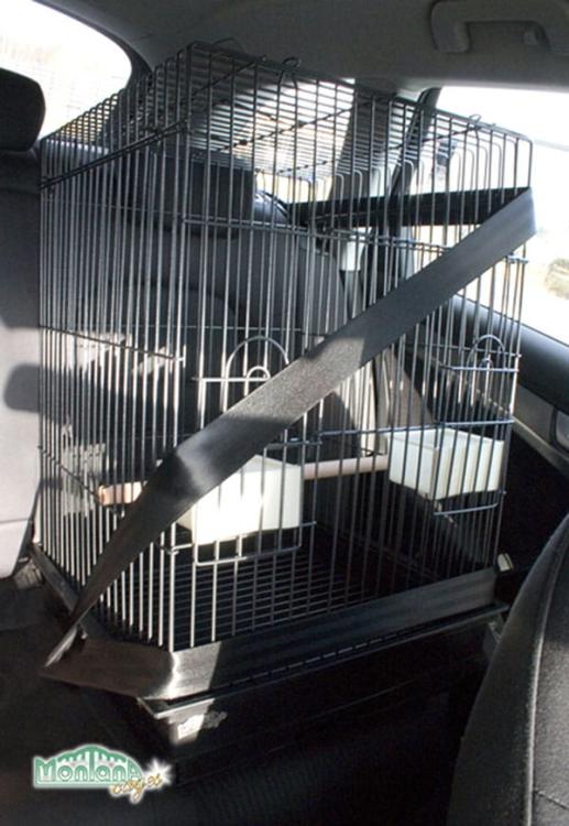 Přepravka Přepravka pro papoušky Montana EOS tmavá od ParrotPlanet.cz