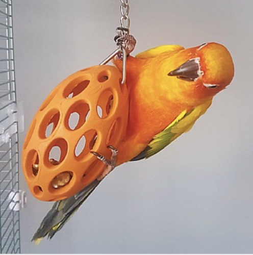 Ořechový Trezor  II – gumový míček pro střední a velké papoušky od ParrotPlanet.cz