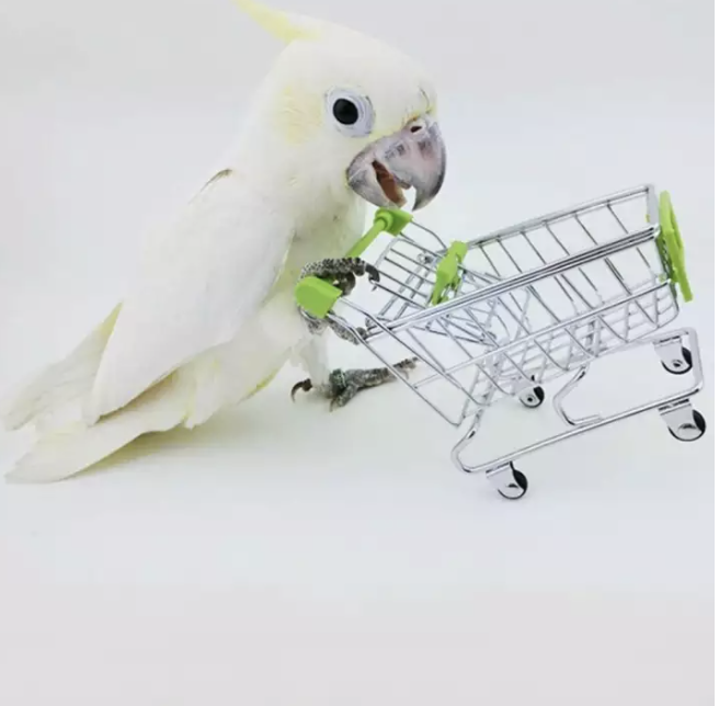 Nákupní košík - logická hračka pro střední a velké papoušky od ParrotPlanet.cz
