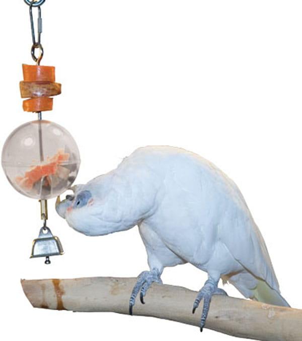 Hračka Závěsný bufet – míček se zvonkem a pamlsky od ParrotPlanet.cz