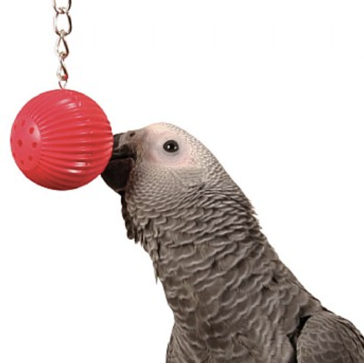 Zeleninové kuličky | Lahodná pochoutka | Hračka do zobáčku | pro všechny papoušky 6 kusů od ParrotPlanet.cz