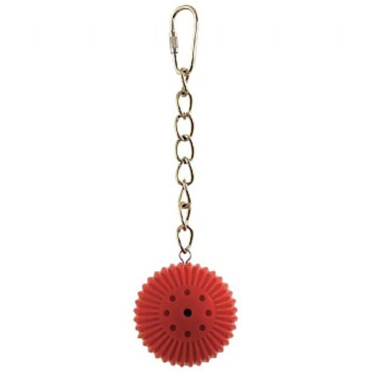 Zeleninové kuličky | Lahodná pochoutka | Hračka do zobáčku | pro všechny papoušky 6 kusů od ParrotPlanet.cz