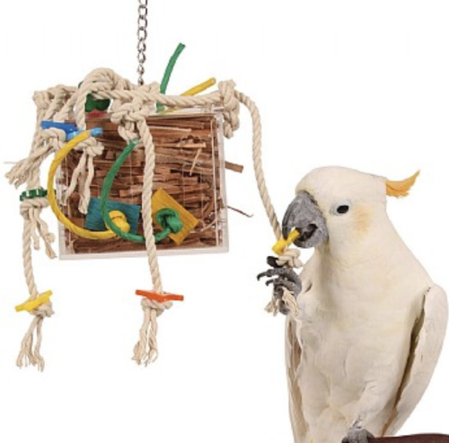 Květinové míčky | Zdravá svačina nebo hračka do tlapky | pro všechny papoušky 3 kusy od ParrotPlanet.cz