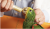 Hagen Hari Tropican Hand Feeding Formula – Krmivo pro ruční krmení mláďat 400 g  od ParrotPlanet.cz