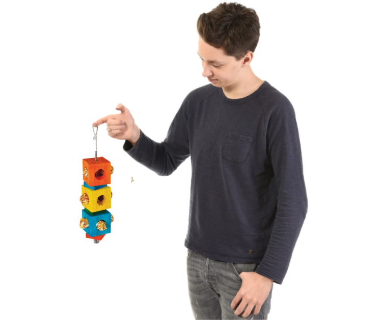 Rohová tyč RAINFOREST rozměr L 30 cm | Přírodní tyč pro velké papoušky od ParrotPlanet.cz