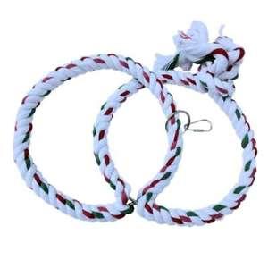 Premium Parrot Food - Mandle ve skořápce - pro všechny papoušky 100 g od ParrotPlanet.cz