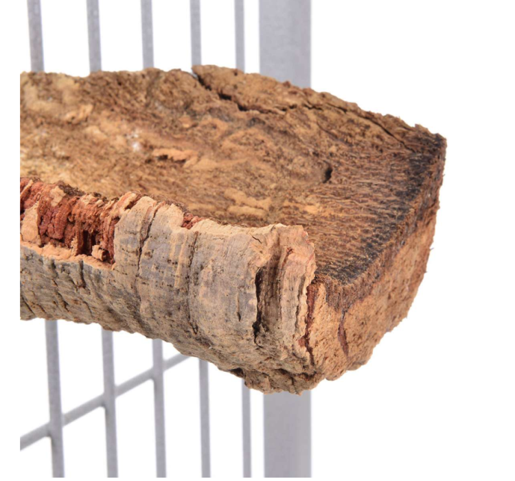 Přírodní tyčinka z kůry korkového dubu, velikost M – pro střední papoušky od ParrotPlanet.cz