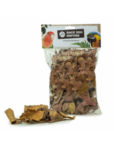 Premium Parrot Food - Ekologické kešu ořechy - pro všechny papoušky 100 g od ParrotPlanet.cz