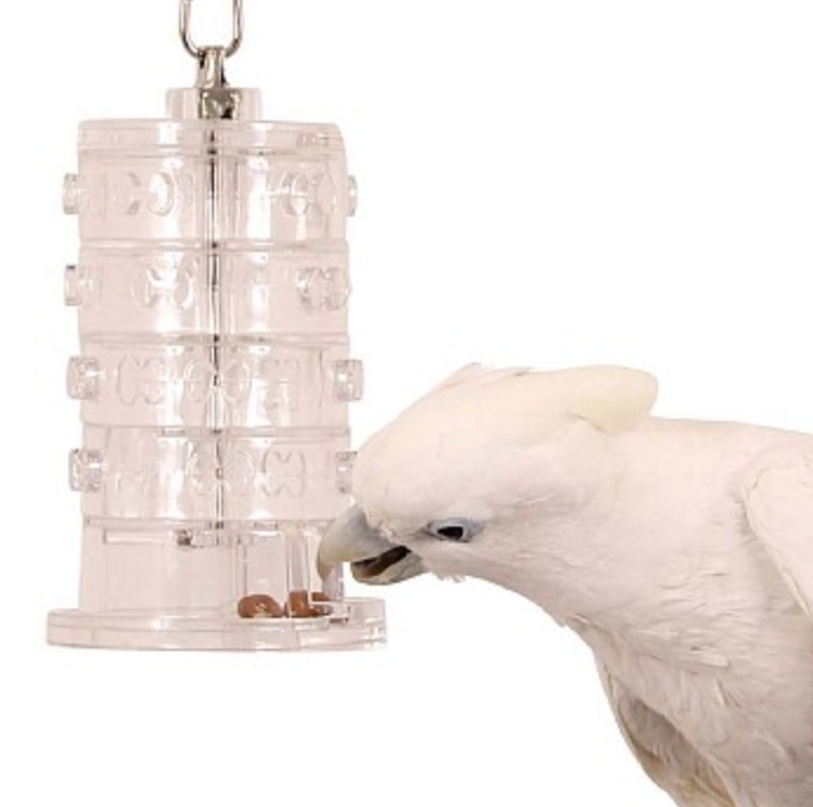 Kola štěstí – interaktivní hračka pro papoušky od ParrotPlanet.cz