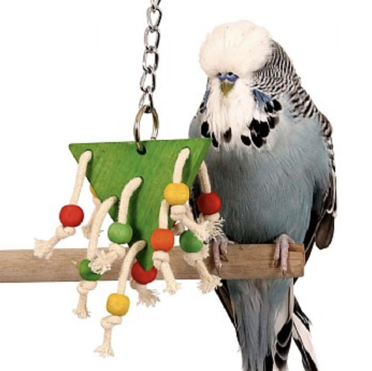 Premium Parrot Food - Ekologický Ogórecznik - pro všechny papoušky 50 g od ParrotPlanet.cz