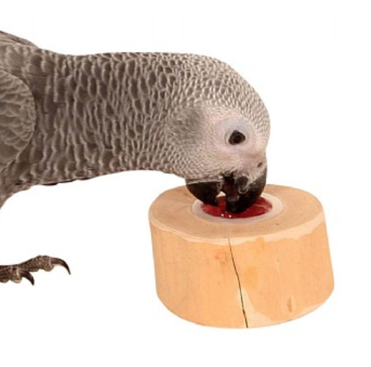 Držák JAVA na želé pro papoušky od ParrotPlanet.cz