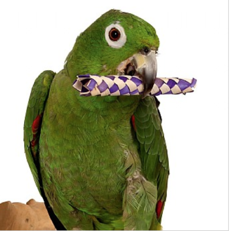 Pletené tyčinky – hračka pro papoušky do tlapky (sada 12 ks) od ParrotPlanet.cz