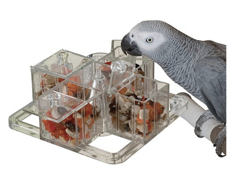 Miska na oběd – nádobí pro papoušky od ParrotPlanet.cz