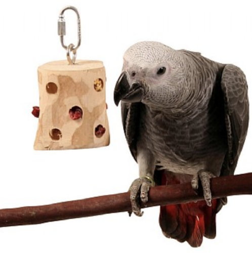 NagrodoMania – hračka na schovávání pamlsků pro střední a velké papoušky od ParrotPlanet.cz