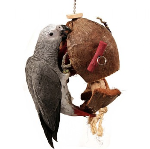 Premium Parrot Food - Ekologická černá rybíz - pro všechny papoušky 100 g od ParrotPlanet.cz