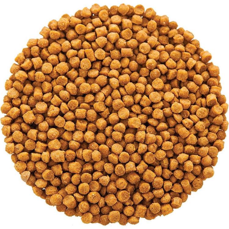 Hagen Hari Tropican Parrot High Performance Granules – Přechodné nebo každodenní krmivo v dietě se zvýšenými nutričními požadavky (mladí ptáci, ptáci v období pelichání) – 820 g od ParrotPlanet.cz