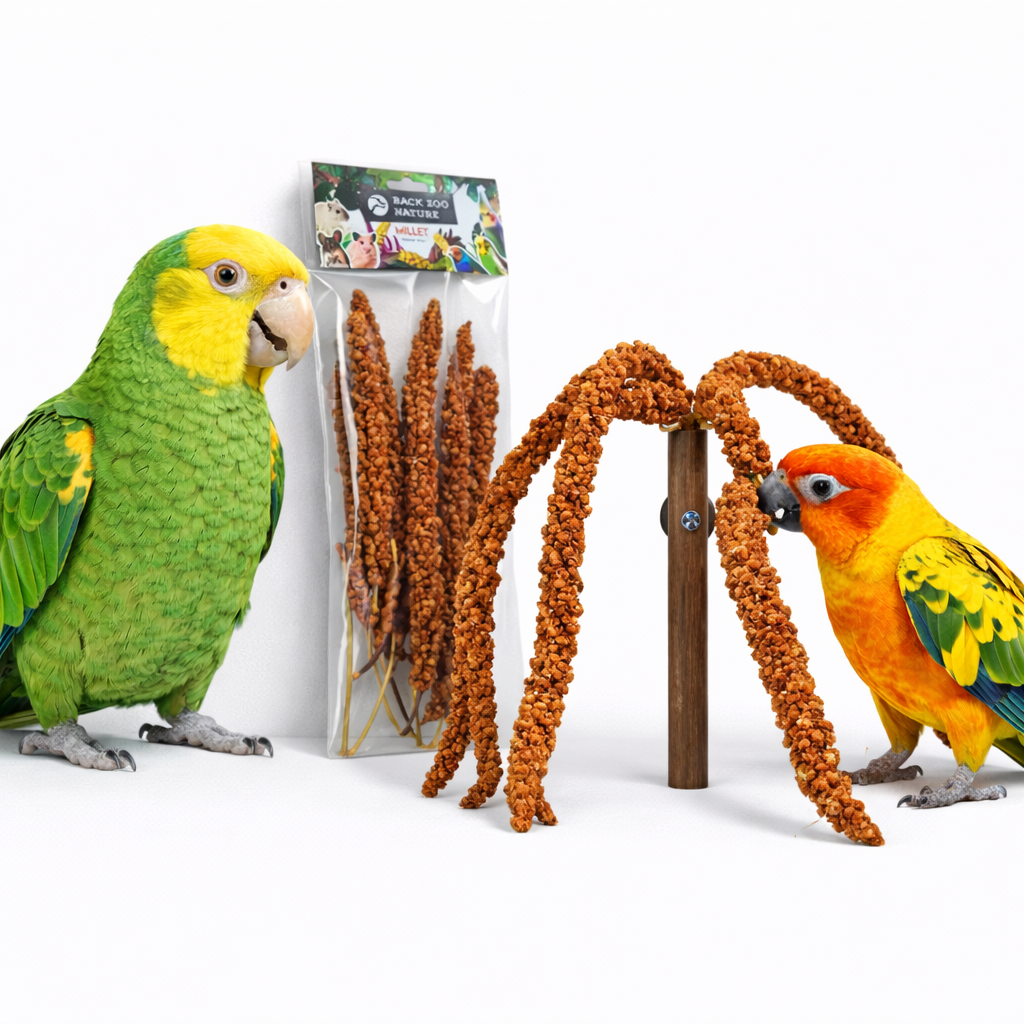 Červené proso v kytici od Back Zoo Nature | Kytice červeného prosa v klasech | Lahůdka pro všechny papoušky 150 g od ParrotPlanet.cz